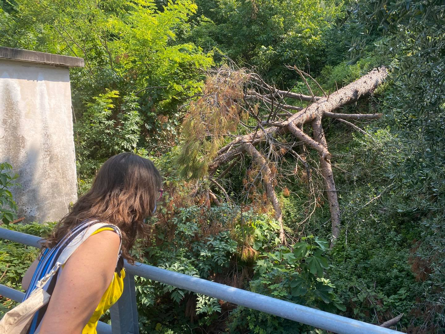 Via Plinio: sopralluogo per alcune segnalazioni